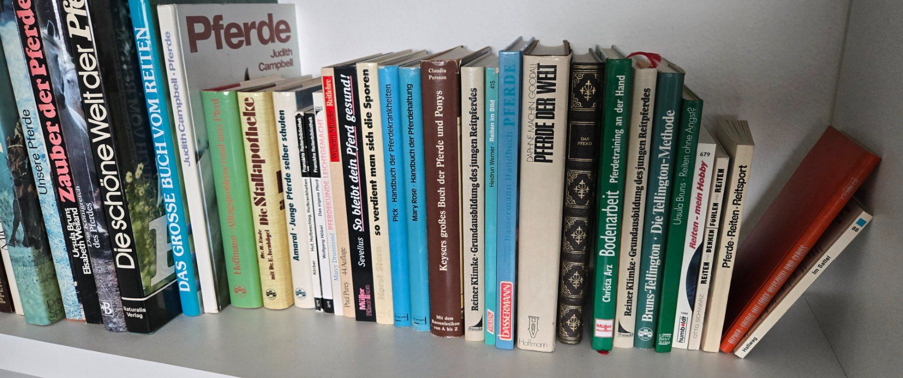 Libri: 70cm Reitsport und Pferdefachbücher – Usato da Adlikon b.Regensdf venduto da YvZi