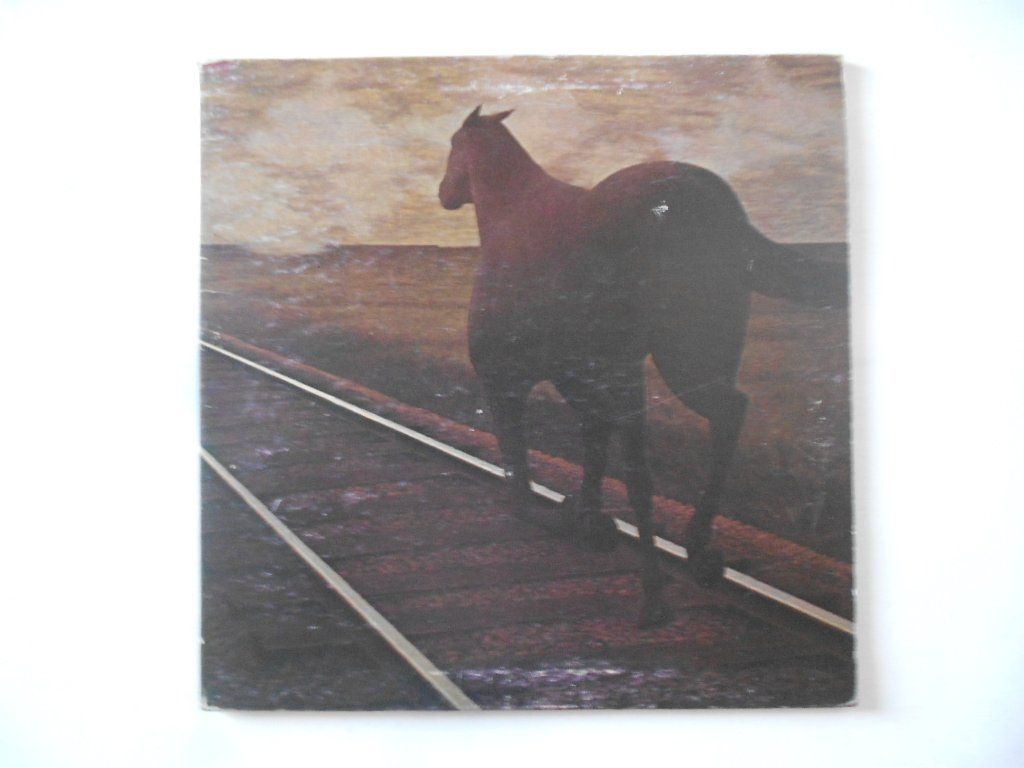 Dischi in vinile: BRUCE COCKBURN  -  NIGHT VISION – Usato da Bex venduto da Giorgiob