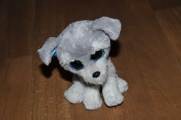 TY - Hund Plüschtier mit Glitzeraugen Glubschi's 15 cm