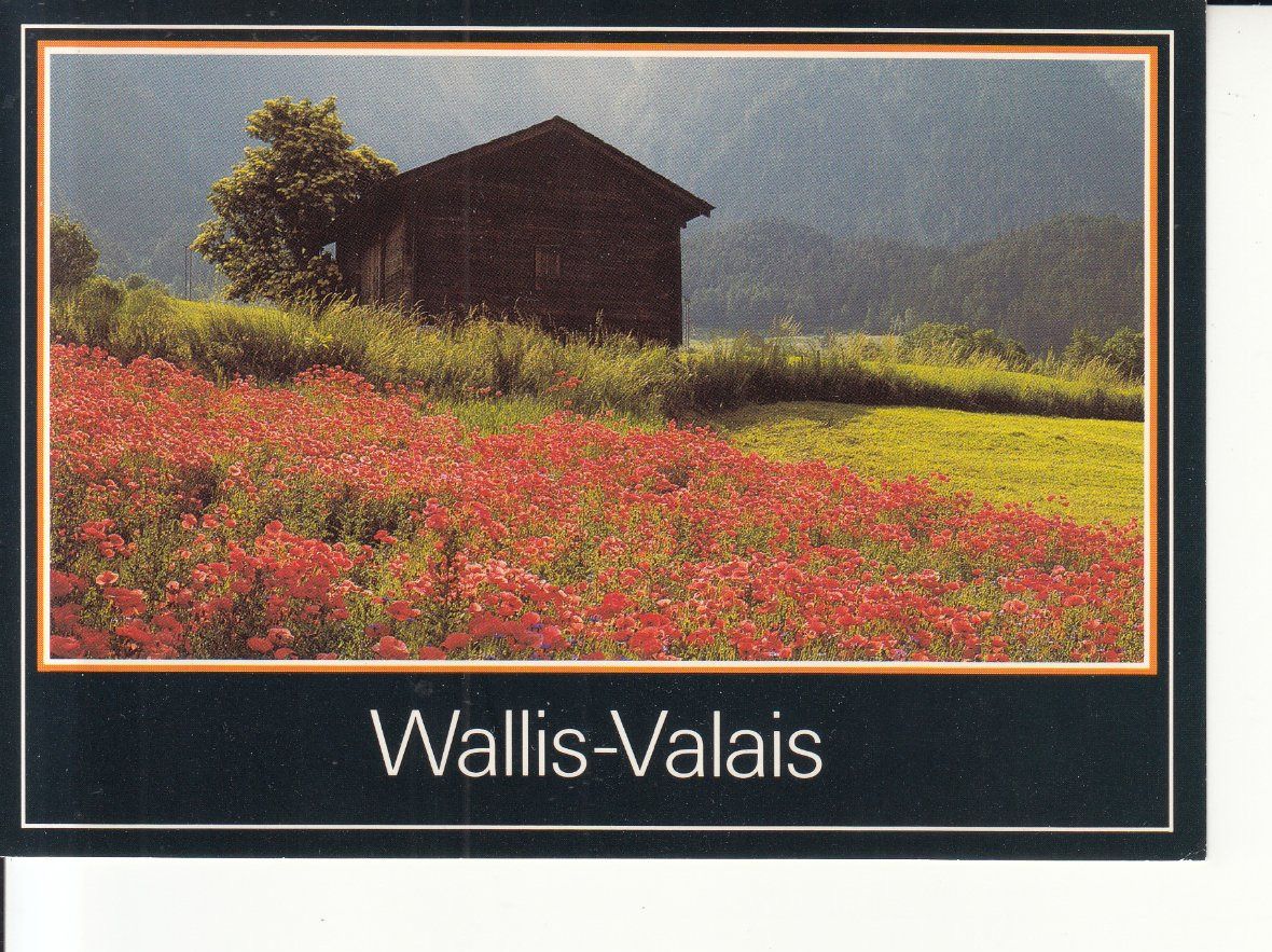 Cartoline postali: Wallis 1993 – Usato da Bürglen TG venduto da StampGraf