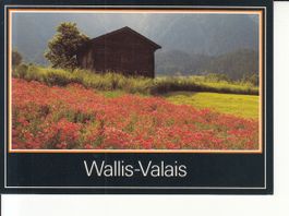 Wallis 1993