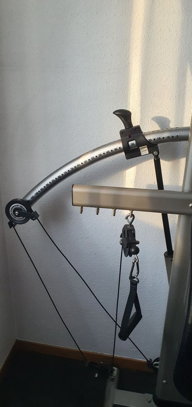 Finnlo Hometrainer: Multigym Finnlo Bio Force – Usato da Veyrier venduto da koa_sql6 4