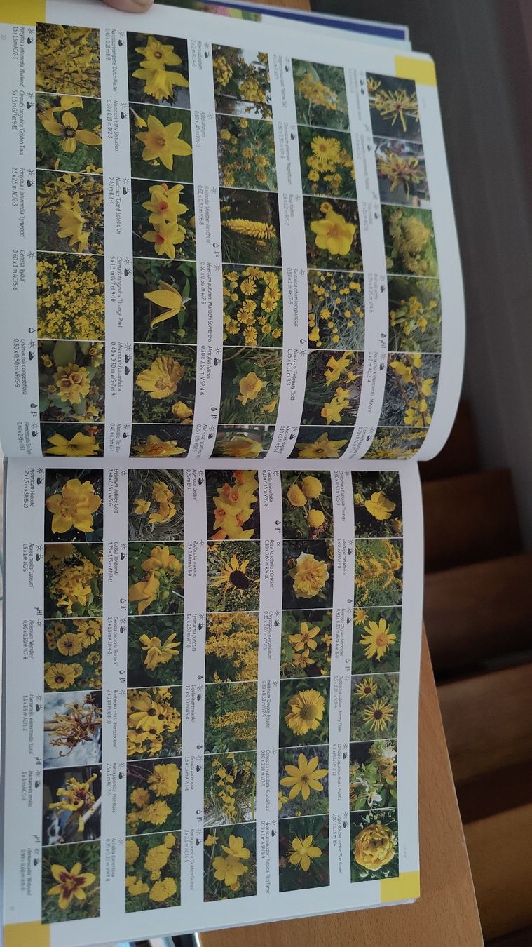 Bücher: Le Nuancier du jardin – Neu (gemäss Beschreibung) aus Giffers von Abzsul 1