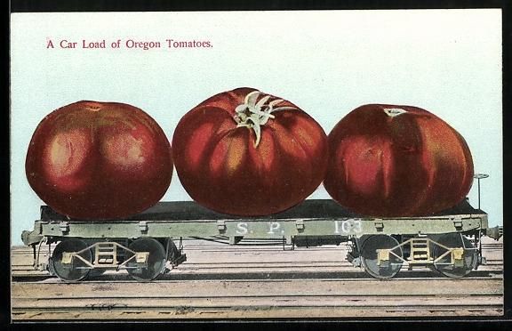Cartoline postali: Tomaten werden mit dem Güterwagen trans – Usato da Berlin venduto da bartko-reher