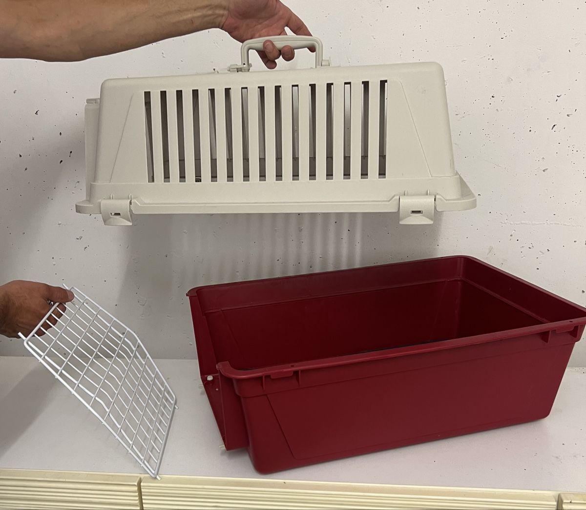 Käfige, Transport & Sicherheit: Transportbox für Tiere – Gebraucht aus Büttikon AG von Jahacymipa.01 2