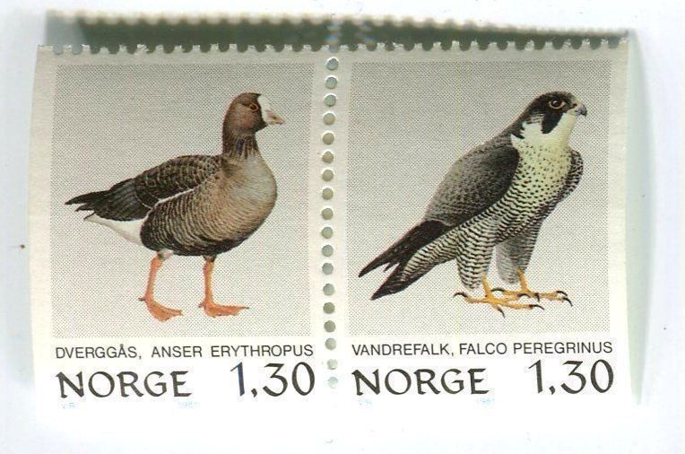 Tutti i francobolli: Briefmarken "Wanderfalke, Zwerggans". Norwegen. – Nuovo e nell'imballaggio originale da Basel venduto da Butsch5