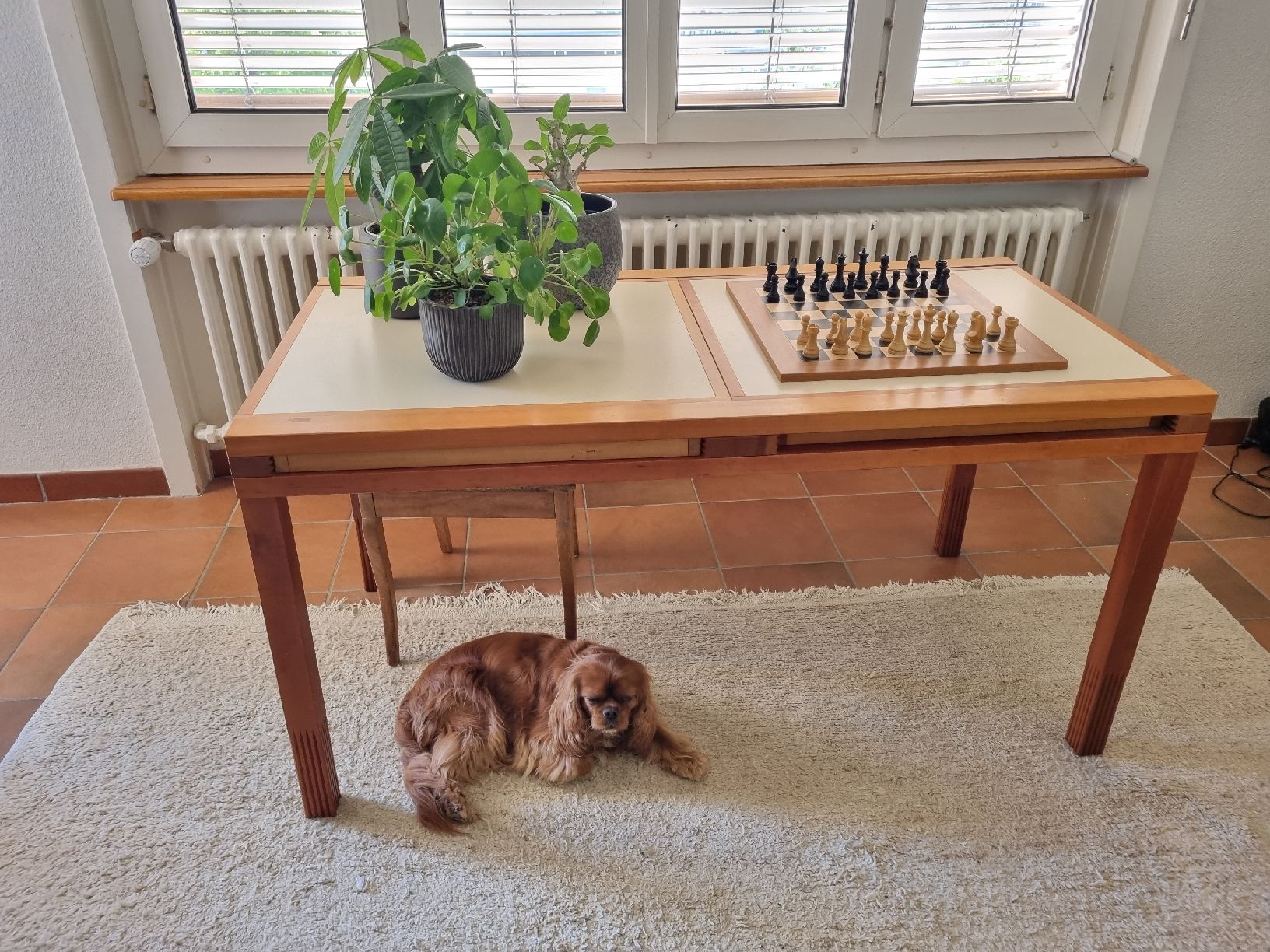 Tische: table Bernard Vuarnesson – Gebraucht aus Neuchâtel von Sigirahel