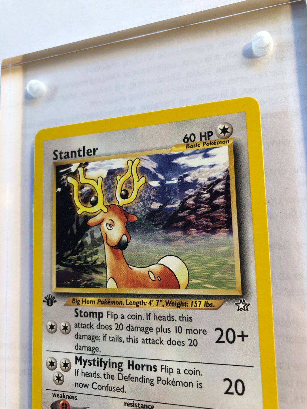 Sammelbilder & Trading cards: Stantler 1st Neo Genesis - MINT - ab 1.- – Gebraucht aus Giubiasco von dan_pr8b 3