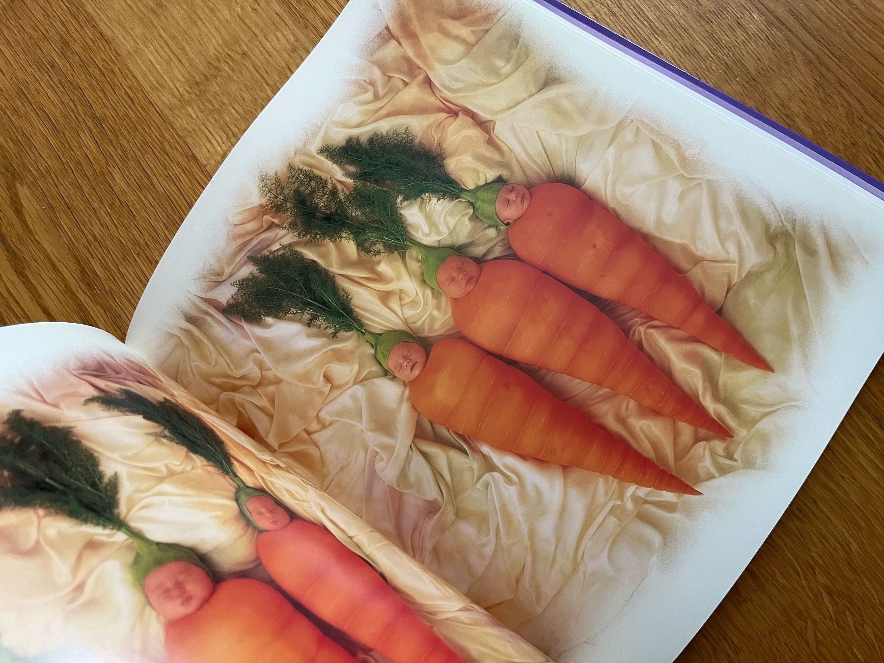 Libri: Bildband "Drunten im Garten", Anne Geddes – Usato da Grosswangen venduto da Vita500 2