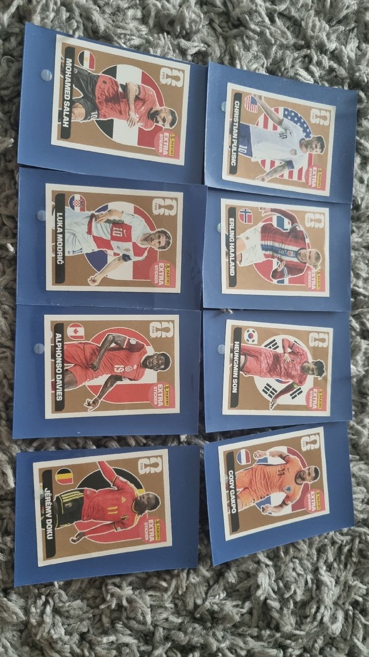 Panini Carte collezionabili: WM Panini – Usato da Lausen venduto da pga_6xwg