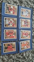 WM Panini