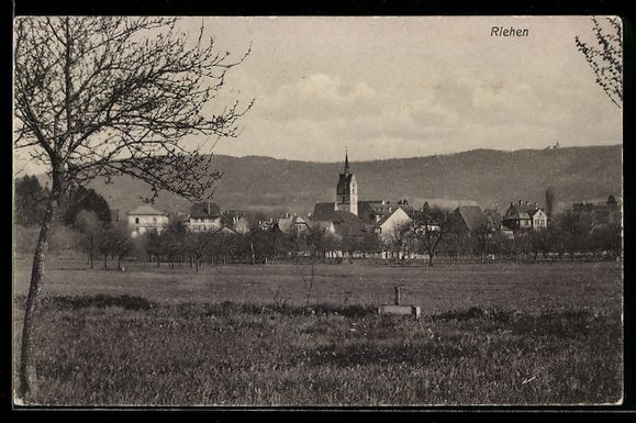 Cartes postales: Riehen, Ortspanorama mit Wiesen u. Bergr – D'occasion à Berlin par bartko-reher