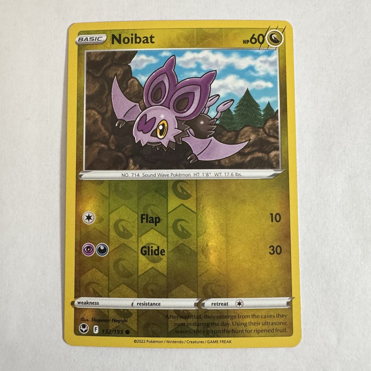 Pokémon Carte collezionabili: Pokémon Noibat - 132 / 195 - ENG – Nuovo (secondo la descrizione) da Staad SG venduto da miaCards