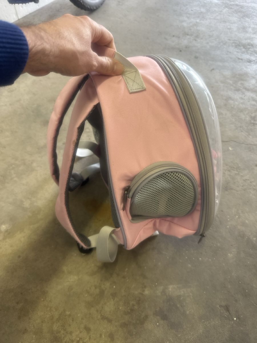 Zaini: Haustiertransport Rucksack – Usato da Dielsdorf venduto da Luigi1989 1