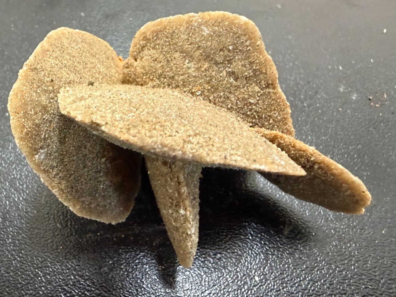 Mineralien & Heilsteine: Wüstenrose, Namibia (3.34) – Neu (gemäss Beschreibung) aus Muri b. Bern von Gemmes 1