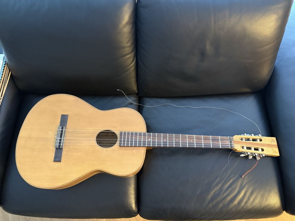 Musikinstrumente: Alte Gitarre A&R Halb Akustisch – Gebraucht aus Goldach von Messerguru 1