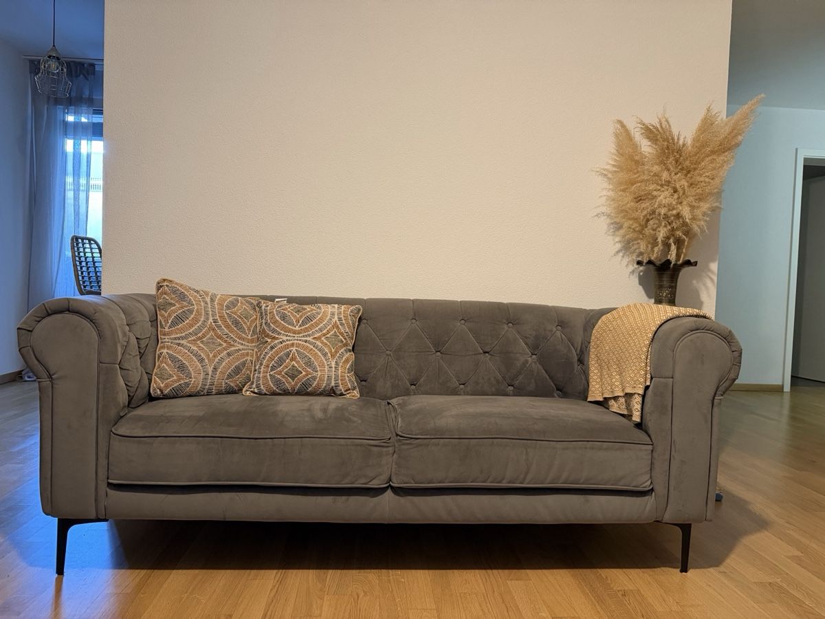 Sofas: Canapé velours gris – Gebraucht aus Granges-Paccot von LaitEtLavande