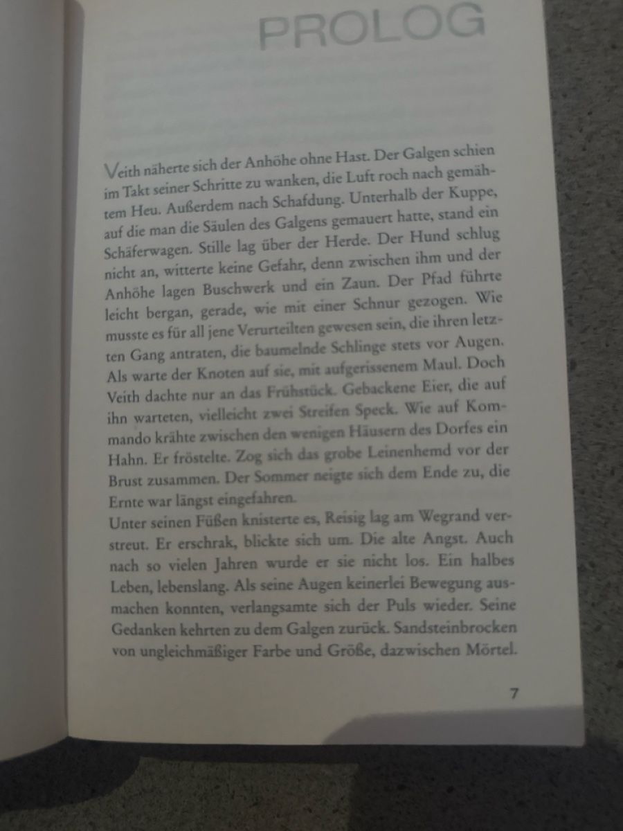 Livres: Daniel Holbe Schwarzer Mann Kriminalroman TB – D'occasion à Zürich par Krikri21 5