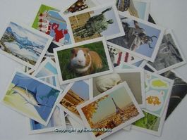 Coop Welt des Wissens,  Sammelbilder