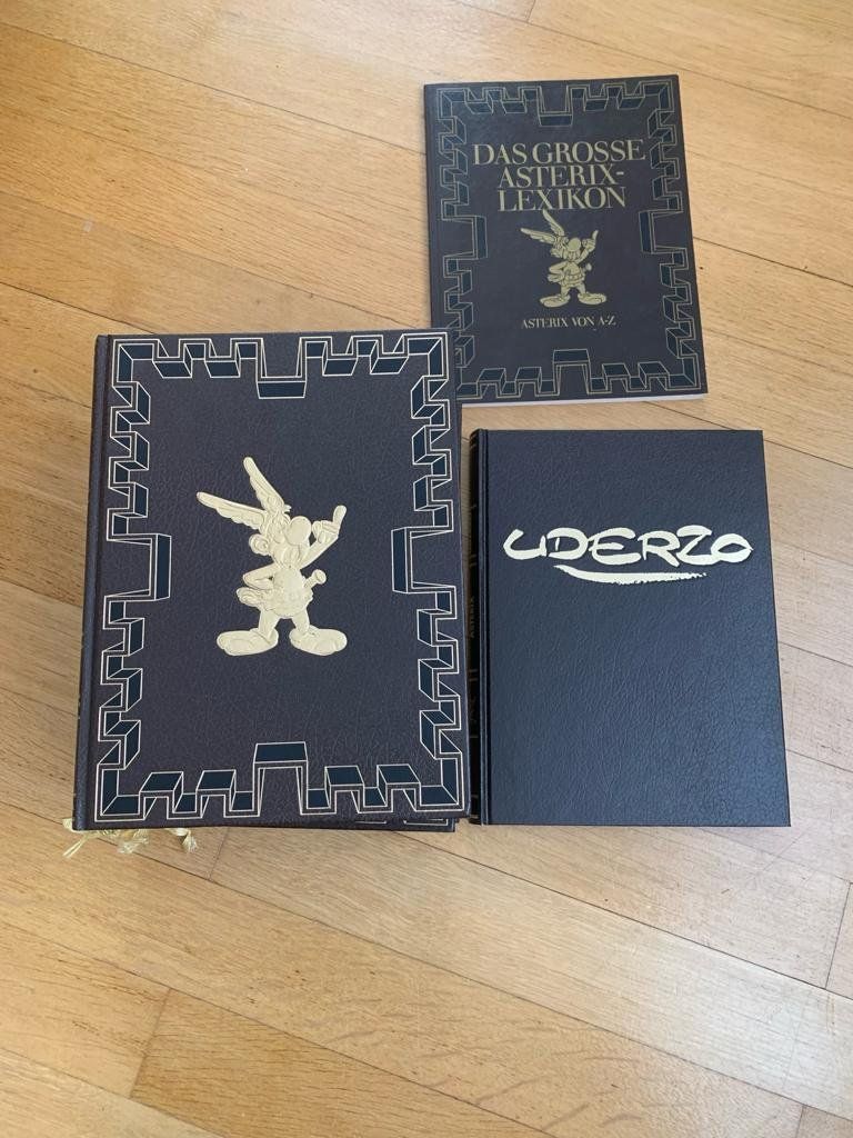 Fumetti: Asterix Comic Sammlung + Lexikon - Top Zustand! – Usato da Teufen venduto da karaca61