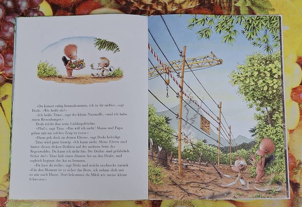 Libri: Kinderbuch: Kleiner Dodo, bester Freund – Usato da Urdorf venduto da natascha_1 1