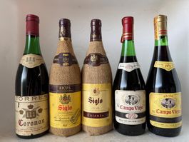 5x alte Weinflaschen RIOJA & TORRES, gut erhalten, Rarität!