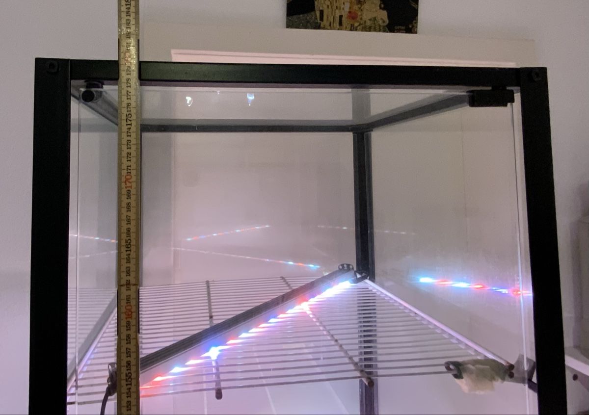 Vitrinen: Pflanzen Vitrine mit Beleuchtung – Gebraucht aus Zollikerberg von Jvac 1