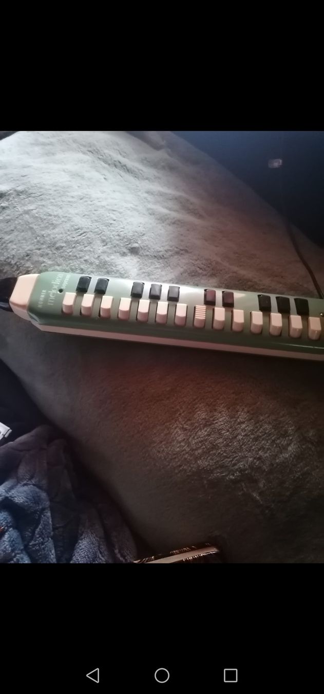 Hohner Strumenti musicali: Gut erhaltene Melodika mit Koffer, – Usato da Boniswil venduto da 1988liringreen 5