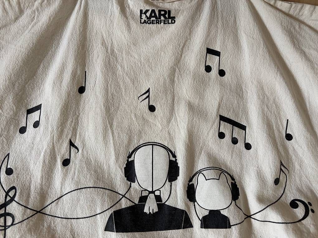 Borse da donna: KARL LAGERFELD Choupette Tote Bag – Usato da Wittenbach venduto da Lenitalasirena 3