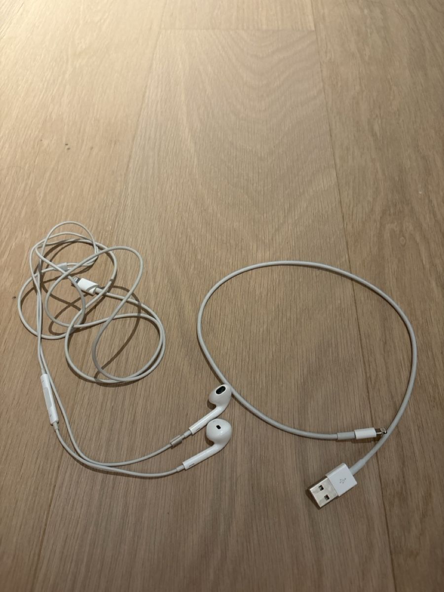 Apple Kopfhörer: Apple Kopfhörer mit Lighting / Kabel mit Lighting – Gebraucht aus Neuhausen von ann-kathrin9