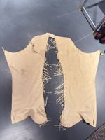 Chaps de show Ultrasuede à franges – Hobby Horse – Latte