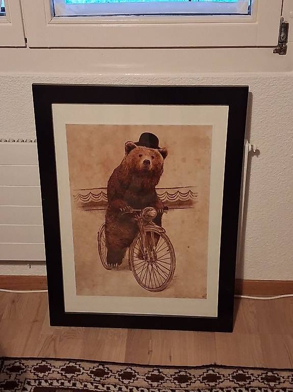 Posters & Illustrations: Bär auf dem Velo - Bild – D'occasion à Lotzwil par bea_fn77