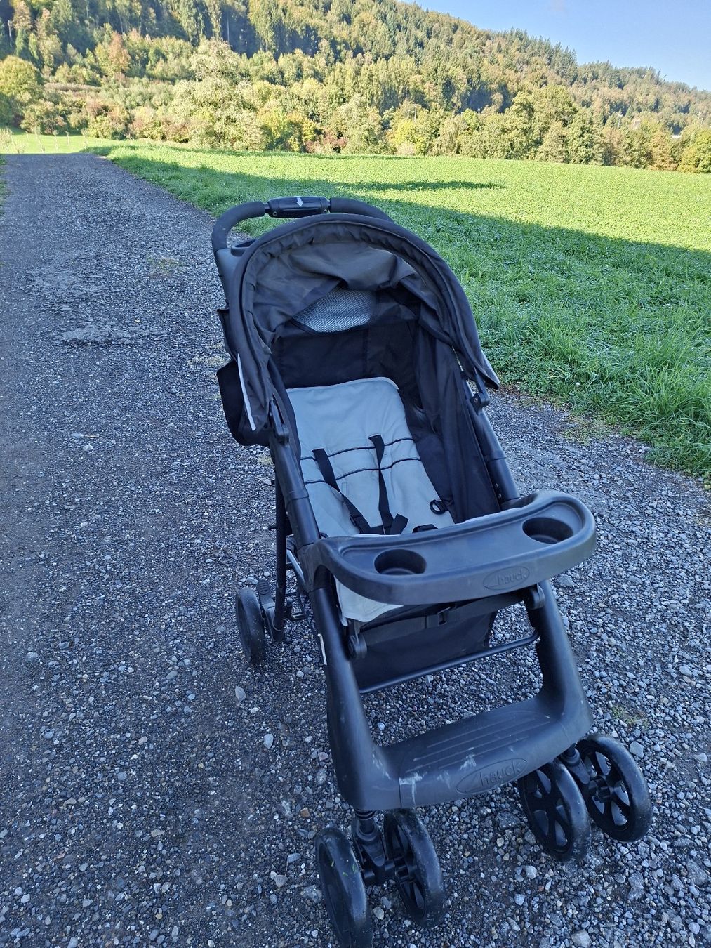 Kinderwagen Zubehör: Kinderwagen Buggy – Gebraucht aus Horgen von ratNski 1