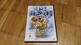 Ice Bear - Die Eisbären DVD