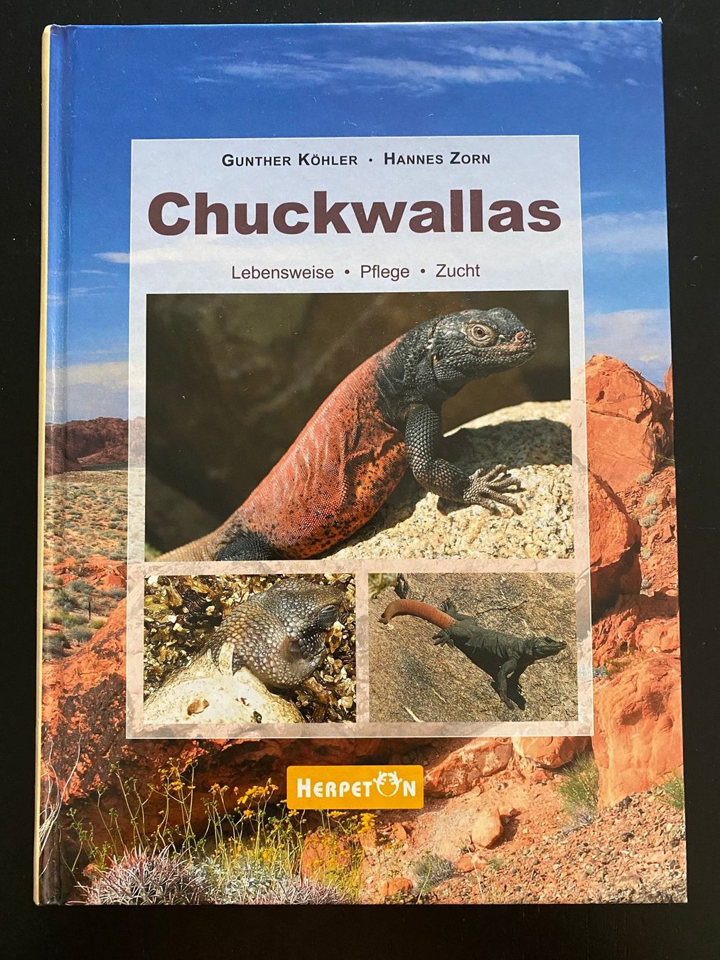 Bücher: 6 Echsen-Bücher (Halsbandleguan, Bartagame, Eidechse etc.) – Gebraucht aus Hölstein von Chabischrut 1