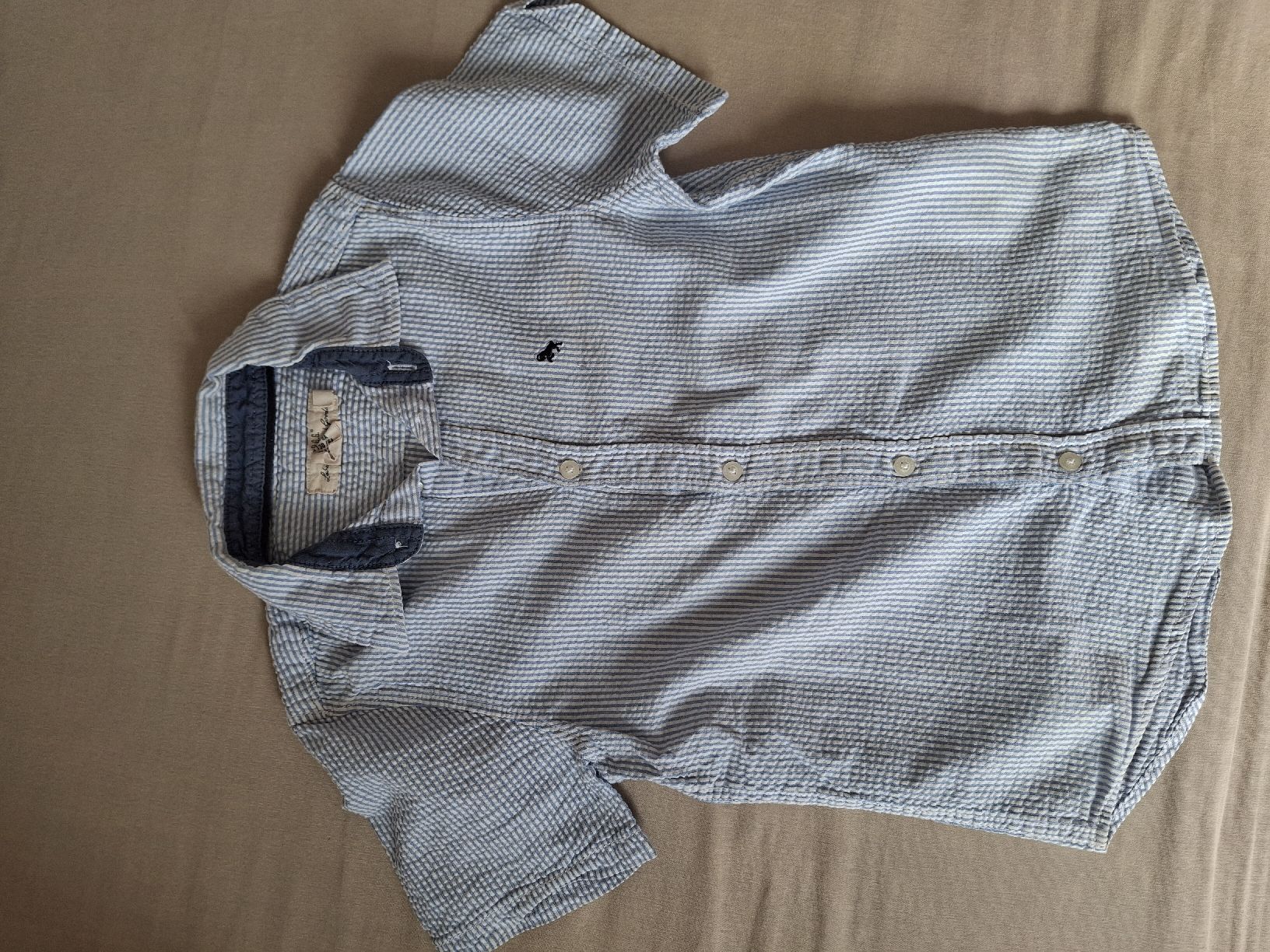 Lotti & Set di vestiti: Schöne Hemden & coole Shirts – Usato da Elgg venduto da des_hd2n 1
