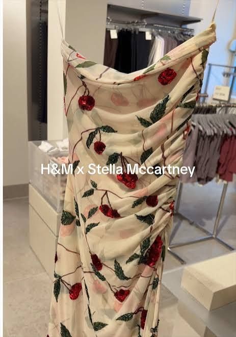 H&M Vestiti: H&M Stella McCartney Kleid – Nuovo e nell'imballaggio originale da Zürich venduto da ninelf