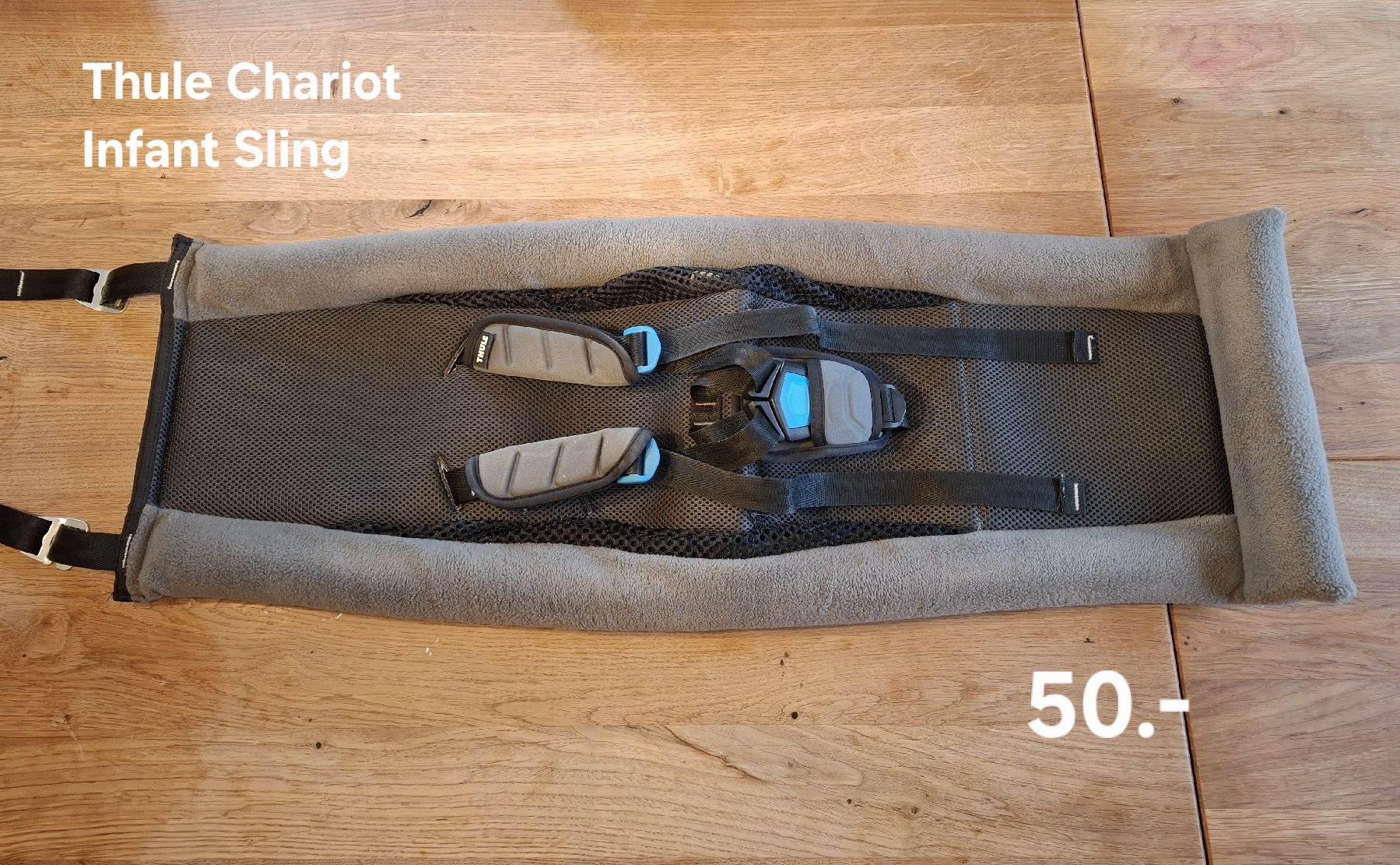 Amache: Thule Chariot Babyschale / Hängematte – Usato da Ebnat-Kappel venduto da fpe.