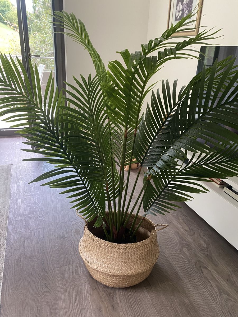 Plantes & graines: Kunstpflanze – D'occasion à Winterthur par beijaflor777