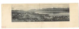 Panorama-AK von Meilen am Zürichsee (ZH) Weinberge - 1900