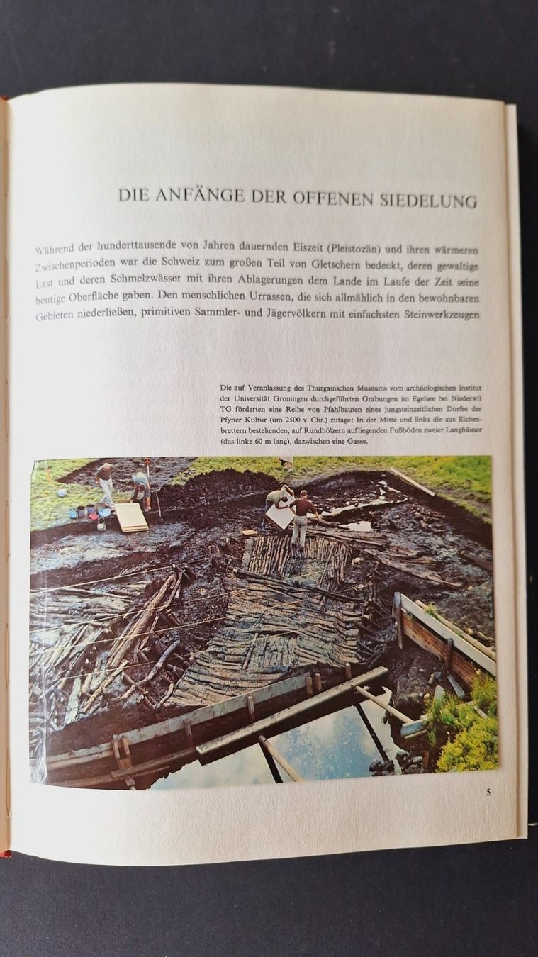 Libri: Das Schweizer Haus,  Silva Buch – Usato da Zürich venduto da t24_de 3