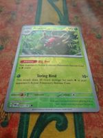 POKEMON  Ariados  H  TWM EN  005/167  HP90  2024