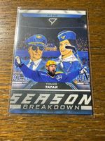 SportZoo Sammelkarten/Playoffs 25-26/Season Breakdown