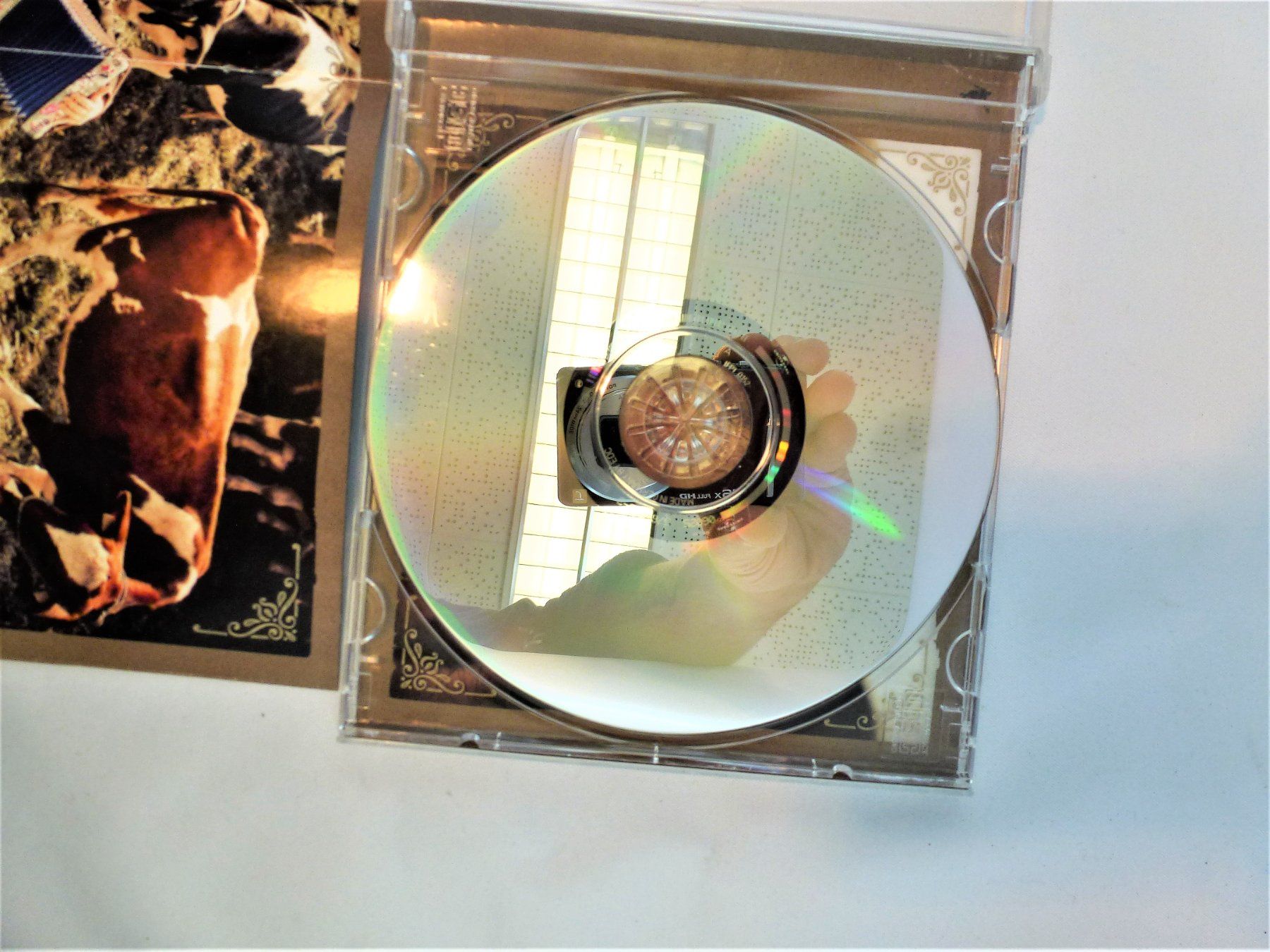 CD: CD Traufer Alpentainer – Usato da Murgenthal venduto da B.StM 7