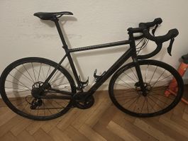 Rennrad Canyon AL Disc 6 Grösse 53 (M)