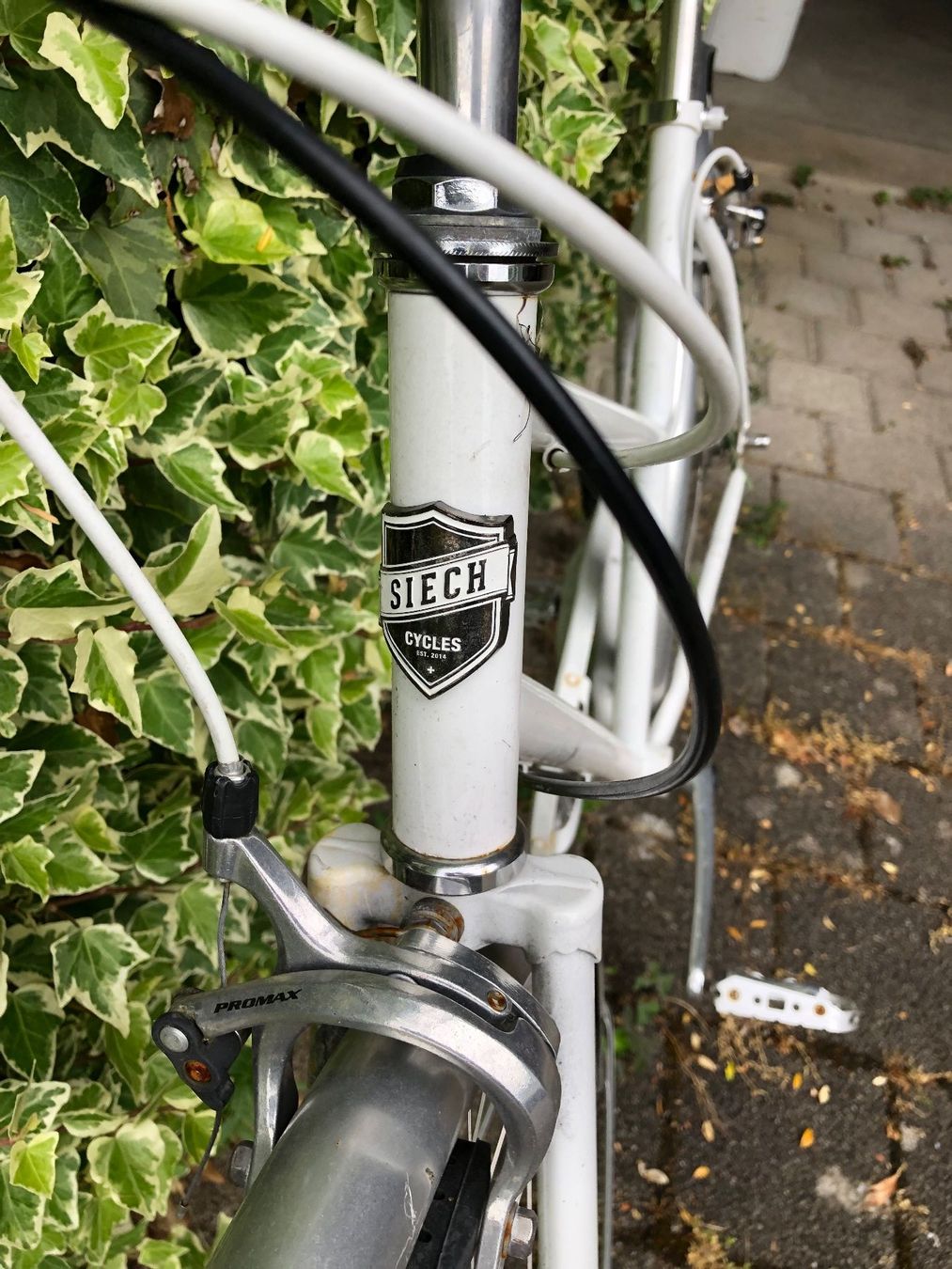 Biciclette: Siech Damenvelo ab 1.- – Difettoso da Oberweningen venduto da Jelo 1