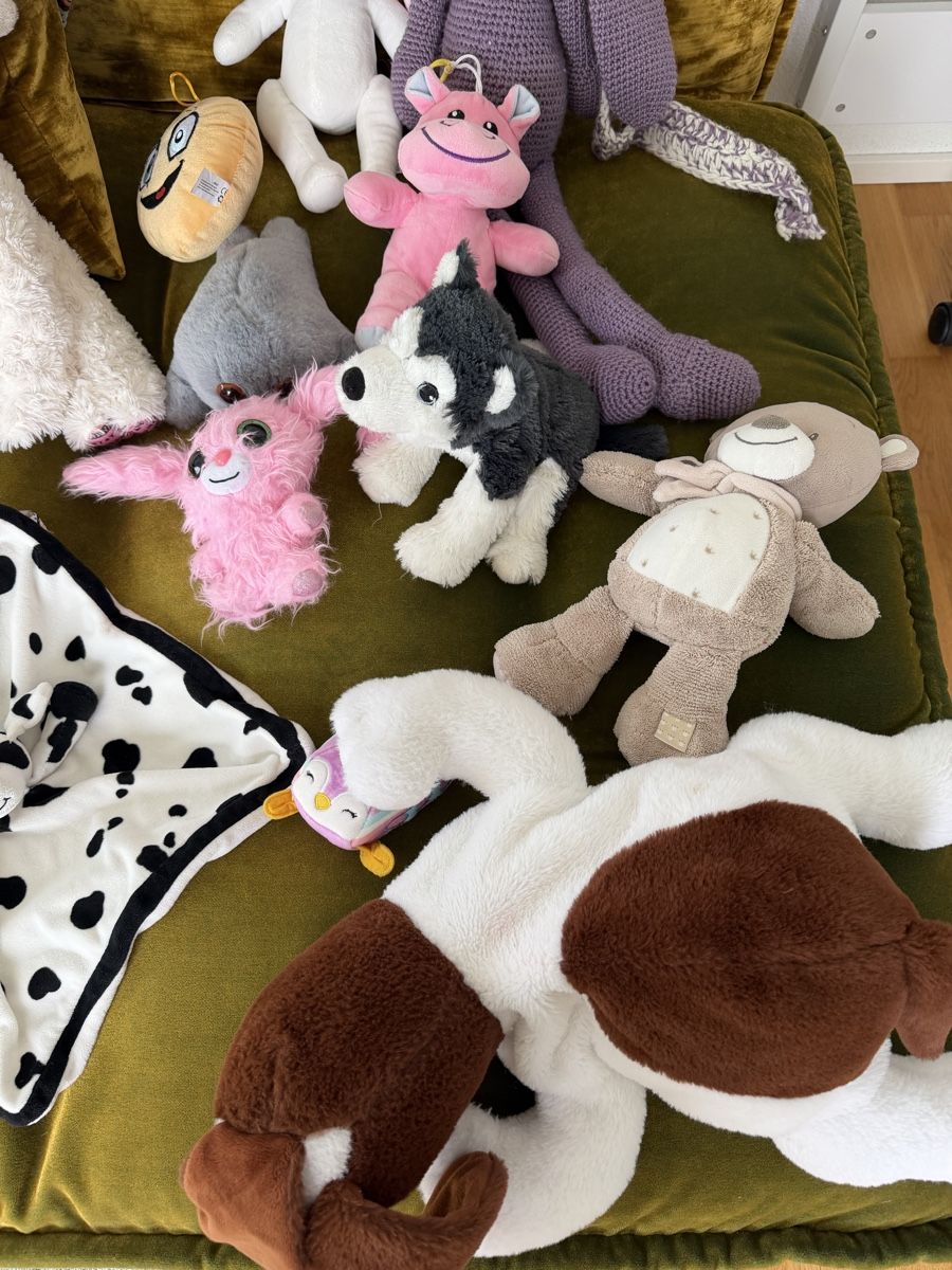 Spielzeuge: Kinderpaket: Plüschtiere/ Stofftiere/ 13 St – Gebraucht aus Zumikon von DamenFashionShop 2