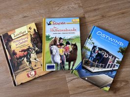 Bücherset: Ritterburg, Pferdehof, Ostwind -Top!