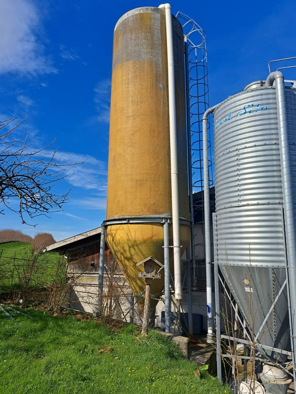 Mangimi: Futtersilo 31 m3 (Agritech Polyester Silo) – Usato da Benzenschwil venduto da rail88 1