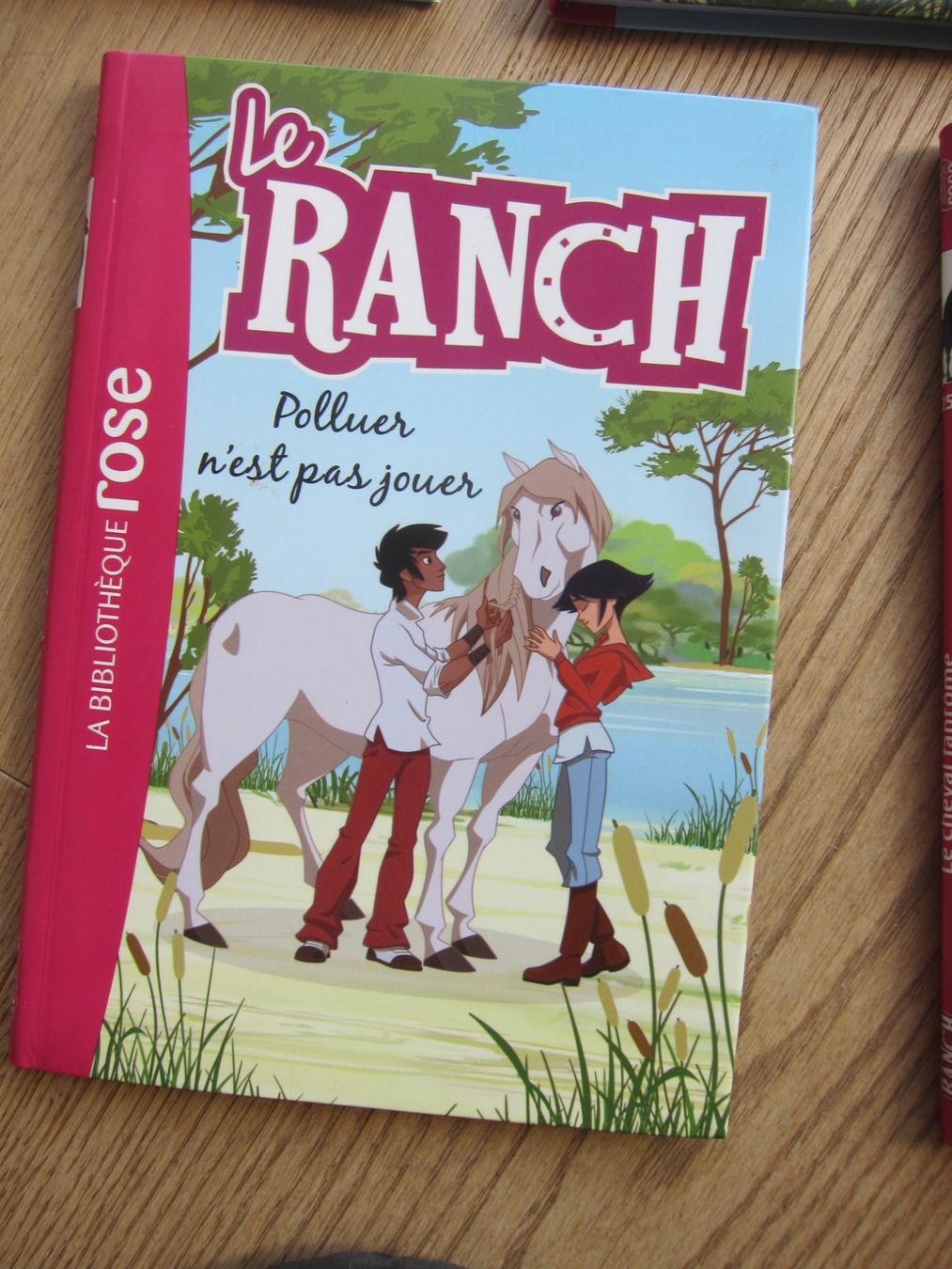 Libri: Livres de la bibliothèque rose: - Le Ranch – Usato da Marin-Epagnier venduto da nic_clc6 2